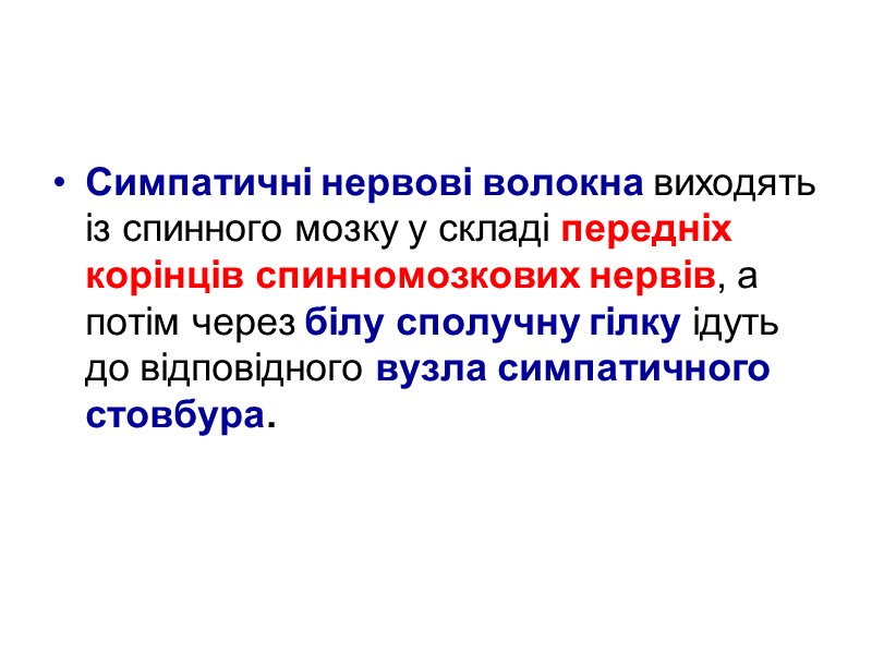 Симпатичні нервові волокна виходять із спинного мозку у складі передніх корінців спинномозкових нервів, а